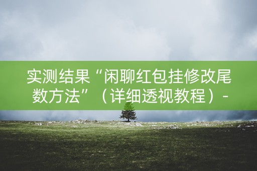 实测结果“闲聊红包挂修改尾 数方法”（详细透视教程）-哔哩哔哩