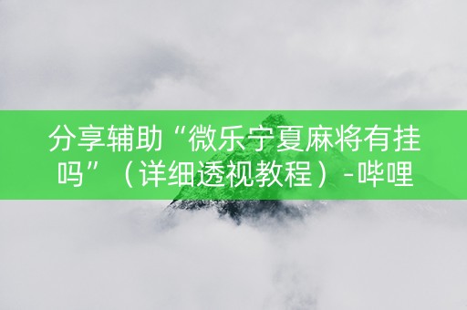 分享辅助“微乐宁夏麻将有挂吗”（详细透视教程）-哔哩哔哩