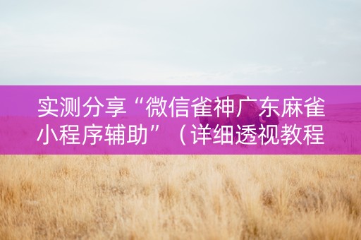 实测分享“微信雀神广东麻雀小程序辅助”（详细透视教程）-哔哩哔哩