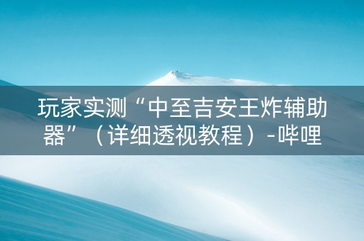 玩家实测“中至吉安王炸辅助器”（详细透视教程）-哔哩哔哩