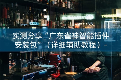 实测分享“广东雀神智能插件安装包”（详细辅助教程）-哔哩哔哩