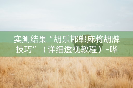 实测结果“胡乐邯郸麻将胡牌技巧”（详细透视教程）-哔哩哔哩