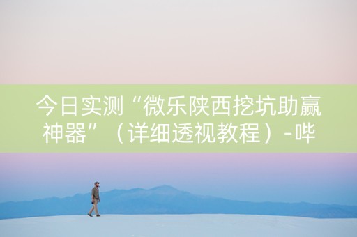 今日实测“微乐陕西挖坑助赢神器”（详细透视教程）-哔哩哔哩