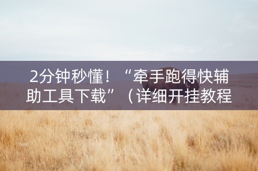 2分钟秒懂！“牵手跑得快辅助工具下载”（详细开挂教程）-哔哩哔哩