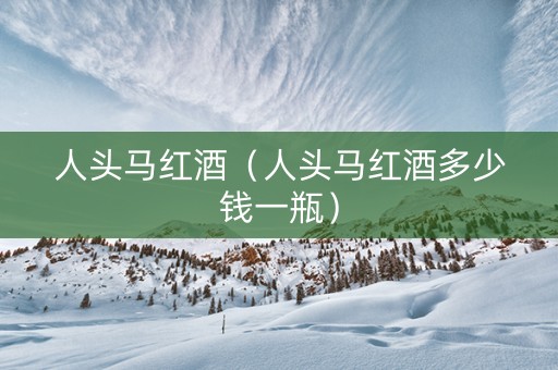 人头马红酒（人头马红酒多少钱一瓶）