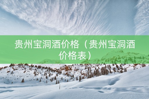 贵州宝洞酒价格（贵州宝洞酒价格表）