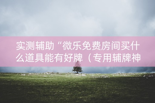实测辅助“微乐免费房间买什么道具能有好牌（专用辅牌神器免安装）