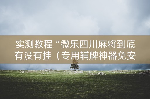 实测教程“微乐四川麻将到底有没有挂（专用辅牌神器免安装）