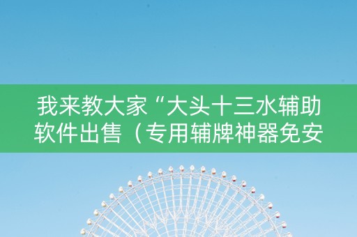 我来教大家“大头十三水辅助软件出售（专用辅牌神器免安装）