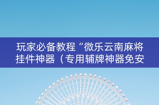 玩家必备教程“微乐云南麻将挂件神器（专用辅牌神器免安装）