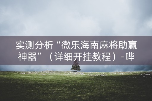 实测分析“微乐海南麻将助赢神器”（详细开挂教程）-哔哩哔哩