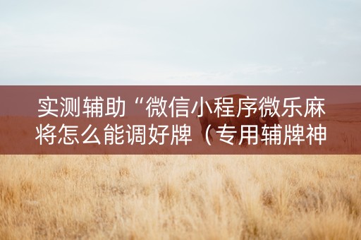 实测辅助“微信小程序微乐麻将怎么能调好牌（专用辅牌神器免安装）