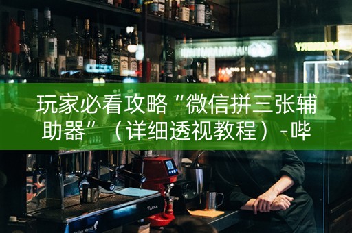 玩家必看攻略“微信拼三张辅助器”（详细透视教程）-哔哩哔哩