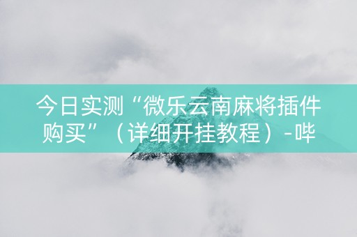 今日实测“微乐云南麻将插件购买”（详细开挂教程）-哔哩哔哩
