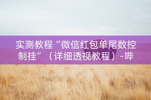 实测教程“微信红包单尾数控制挂”（详细透视教程）-哔哩哔哩