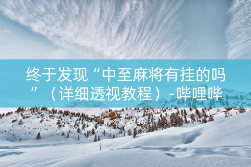 终于发现“中至麻将有挂的吗”（详细透视教程）-哔哩哔哩