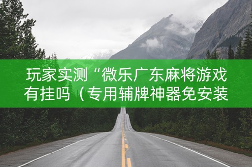 玩家实测“微乐广东麻将游戏有挂吗（专用辅牌神器免安装）