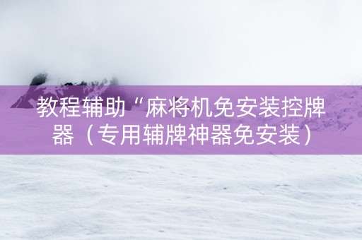 教程辅助“麻将机免安装控牌器（专用辅牌神器免安装）