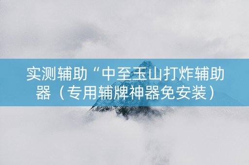 实测辅助“中至玉山打炸辅助器（专用辅牌神器免安装）