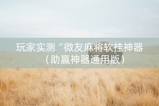 玩家实测“微友麻将软挂神器（助赢神器通用版）