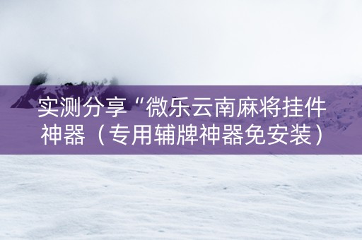 实测分享“微乐云南麻将挂件神器（专用辅牌神器免安装）
