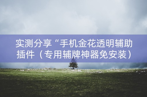 实测分享“手机金花透明辅助插件（专用辅牌神器免安装）