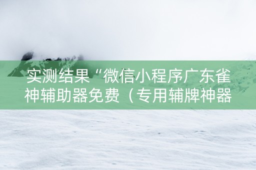 实测结果“微信小程序广东雀神辅助器免费（专用辅牌神器免安装）