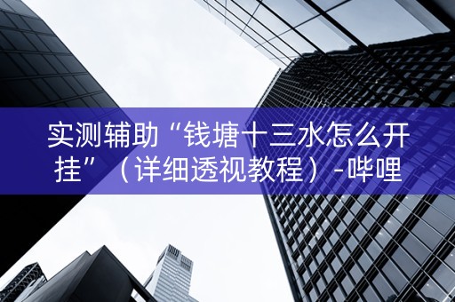 实测辅助“钱塘十三水怎么开挂”（详细透视教程）-哔哩哔哩