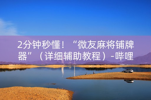 2分钟秒懂！“微友麻将铺牌器”（详细辅助教程）-哔哩哔哩