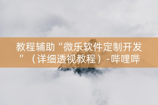 教程辅助“微乐软件定制开发”（详细透视教程）-哔哩哔哩