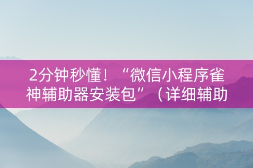 2分钟秒懂！“微信小程序雀神辅助器安装包”（详细辅助教程）-哔哩哔哩
