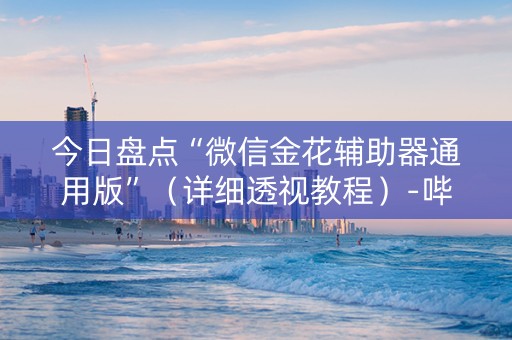 今日盘点“微信金花辅助器通用版”（详细透视教程）-哔哩哔哩