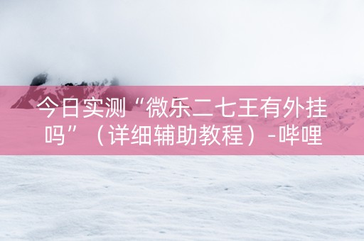 今日实测“微乐二七王有外挂吗”（详细辅助教程）-哔哩哔哩