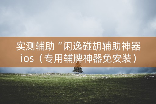 实测辅助“闲逸碰胡辅助神器ios（专用辅牌神器免安装）