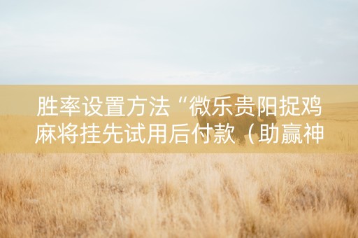 胜率设置方法“微乐贵阳捉鸡麻将挂先试用后付款（助赢神器通用版）