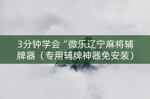 3分钟学会“微乐辽宁麻将辅牌器（专用辅牌神器免安装）