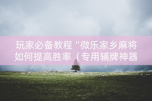 玩家必备教程“微乐家乡麻将如何提高胜率（专用辅牌神器免安装）