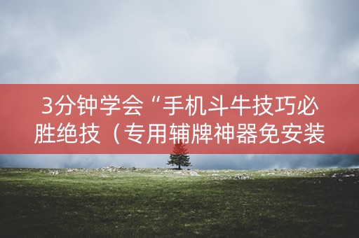3分钟学会“手机斗牛技巧必胜绝技（专用辅牌神器免安装）