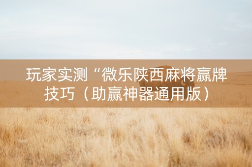 玩家实测“微乐陕西麻将赢牌技巧（助赢神器通用版）