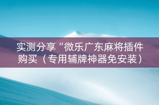 实测分享“微乐广东麻将插件购买（专用辅牌神器免安装）
