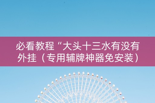 必看教程“大头十三水有没有外挂（专用辅牌神器免安装）