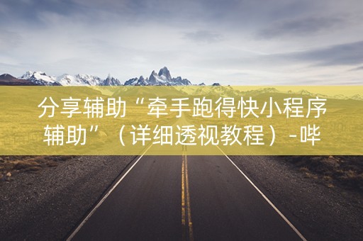 分享辅助“牵手跑得快小程序辅助”（详细透视教程）-哔哩哔哩