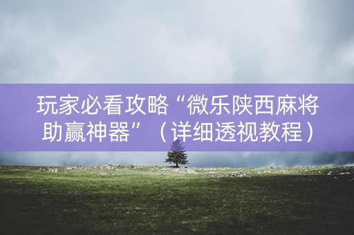 玩家必看攻略“微乐陕西麻将助赢神器”（详细透视教程）-哔哩哔哩