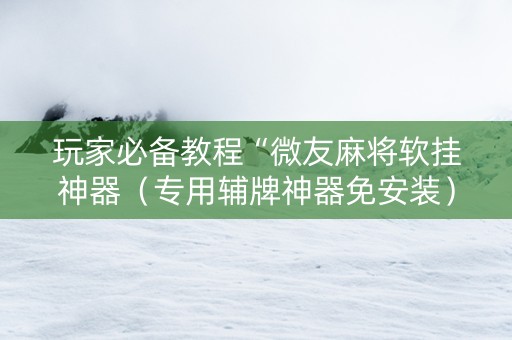 玩家必备教程“微友麻将软挂神器（专用辅牌神器免安装）