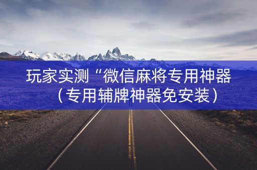 玩家实测“微信麻将专用神器（专用辅牌神器免安装）