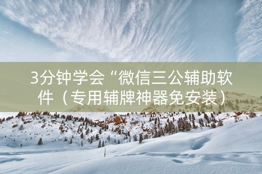3分钟学会“微信三公辅助软件（专用辅牌神器免安装）