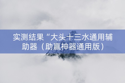 实测结果“大头十三水通用辅助器（助赢神器通用版）