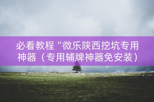 必看教程“微乐陕西挖坑专用神器（专用辅牌神器免安装）