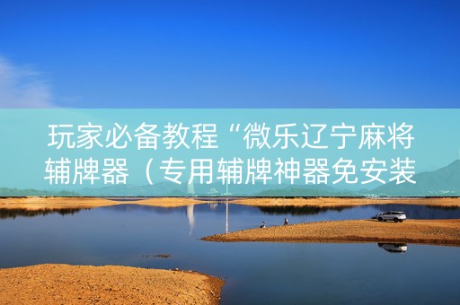 玩家必备教程“微乐辽宁麻将辅牌器（专用辅牌神器免安装）