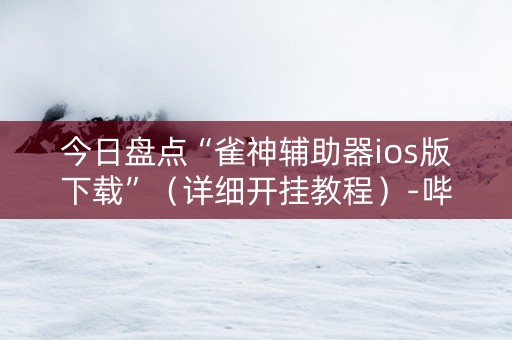 今日盘点“雀神辅助器ios版下载”（详细开挂教程）-哔哩哔哩
